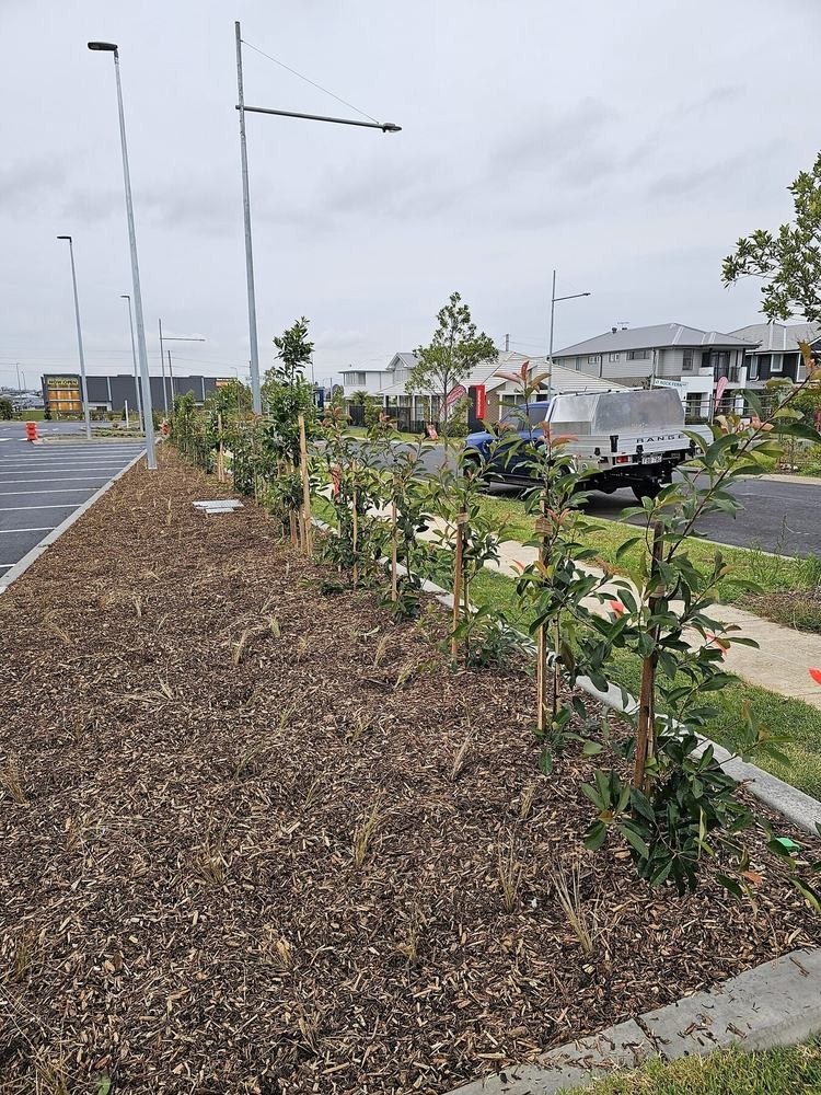 ALDI Cobbitty Commercial Landscaping — completed view 3