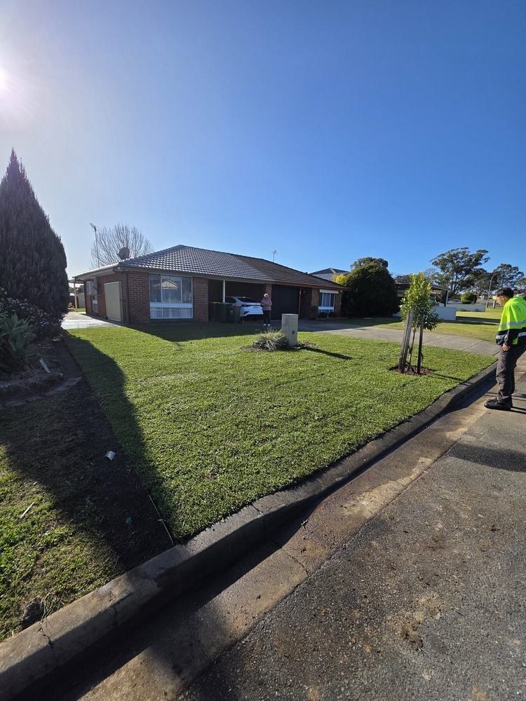 Rosemeadow Residential Renovation — after view 3