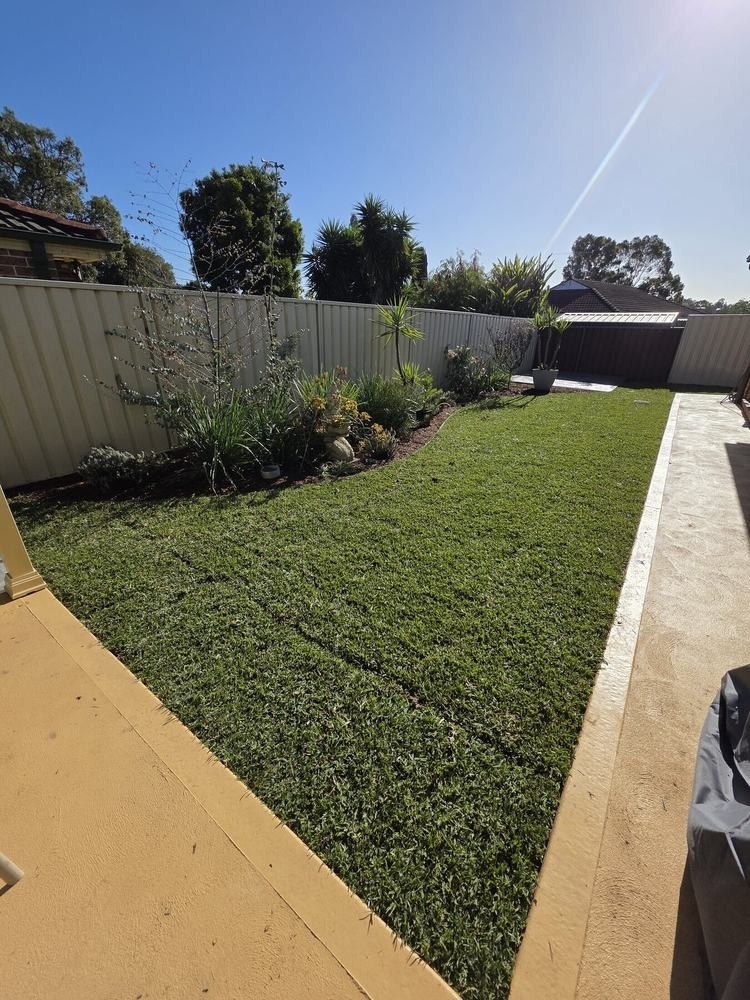 Completed residential lawn and garden renewal by MTS