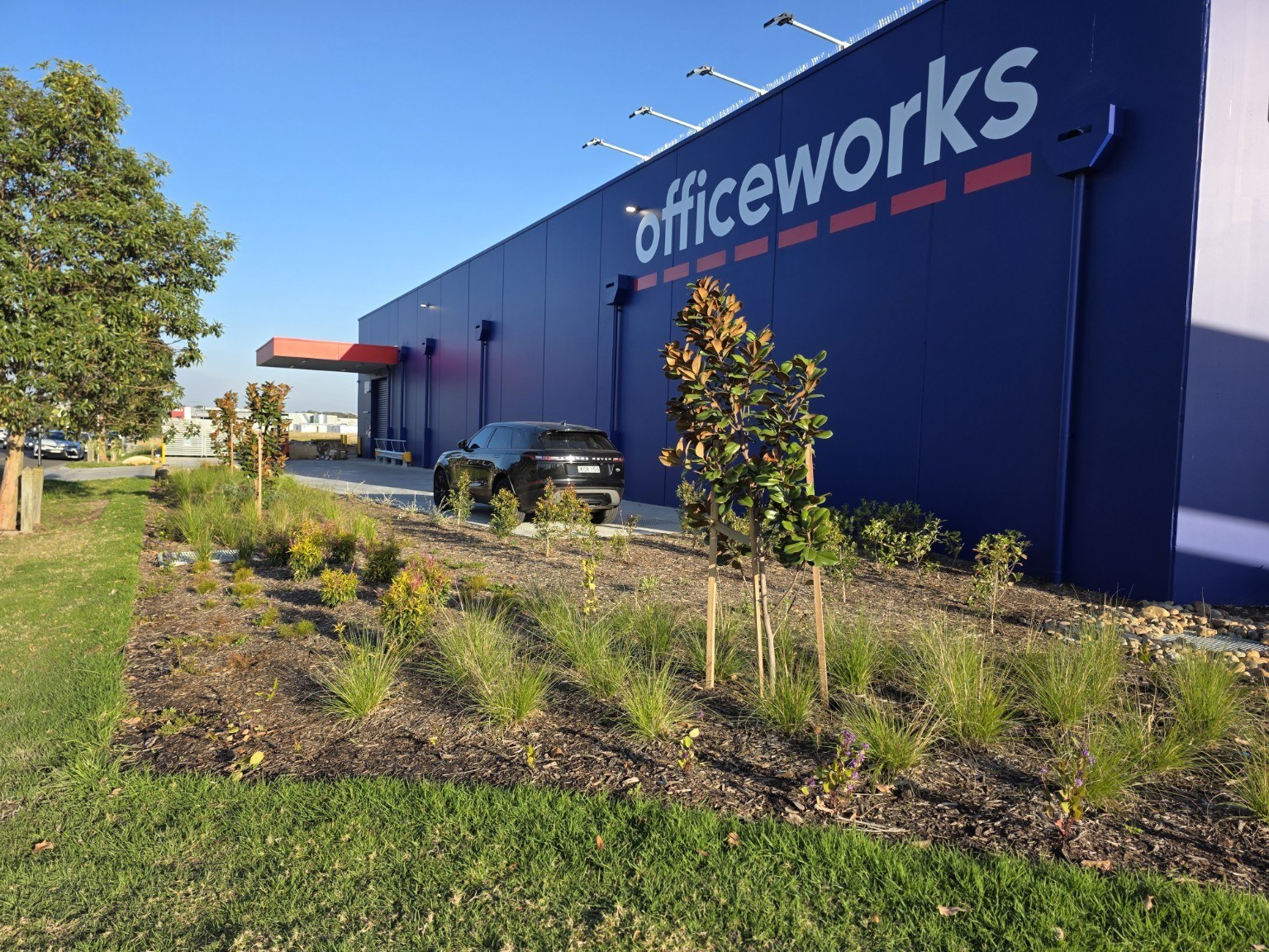 Architectural commercial courtyard planting completed by MTS